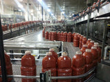 Combiners / Single Filer  Conveyors in plant