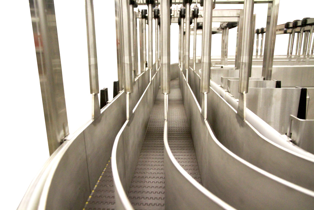 Conveyor Infeed – Bevco Sales International