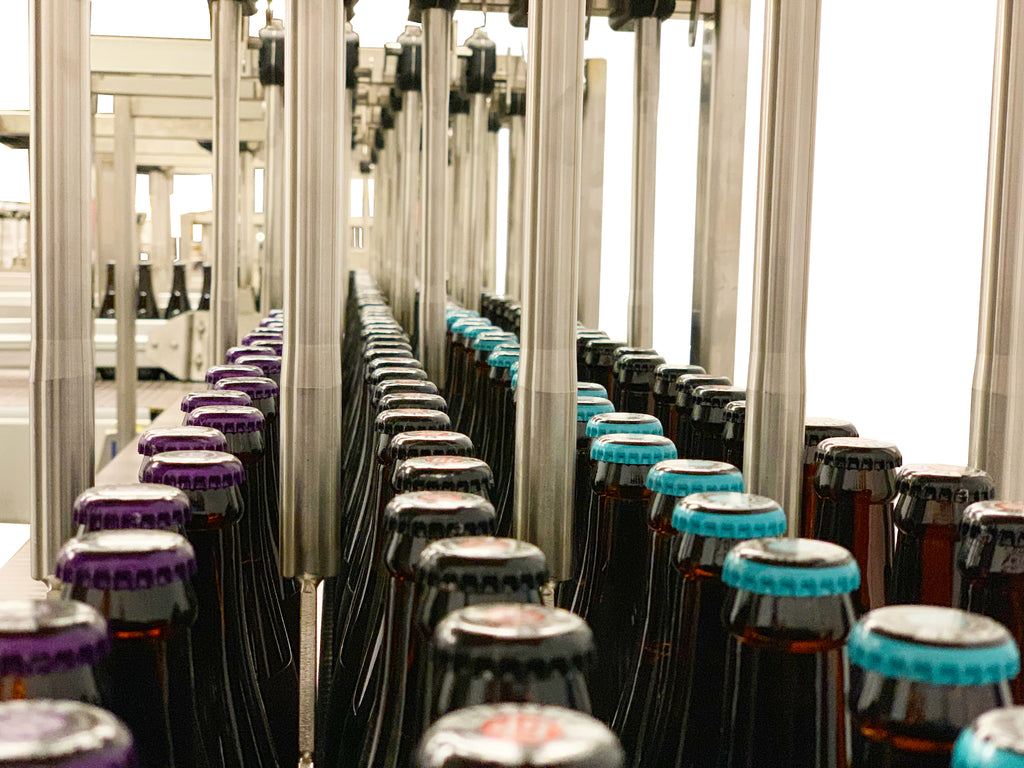 Conveyor Infeed – Bevco Sales International